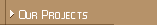 Our Projects